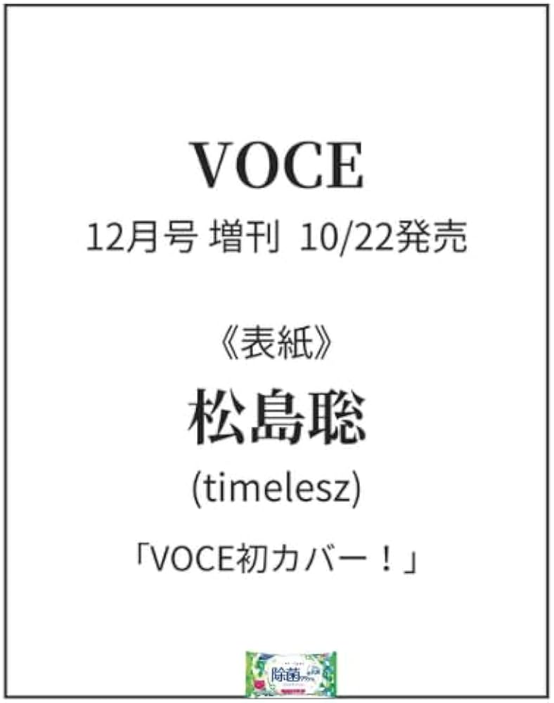 詰め放題対象商品【予約.仮予約こちらから】 仏事用】をぐら山春秋 小缶□(8ヶ入り12袋): 米菓・詰め合わせ